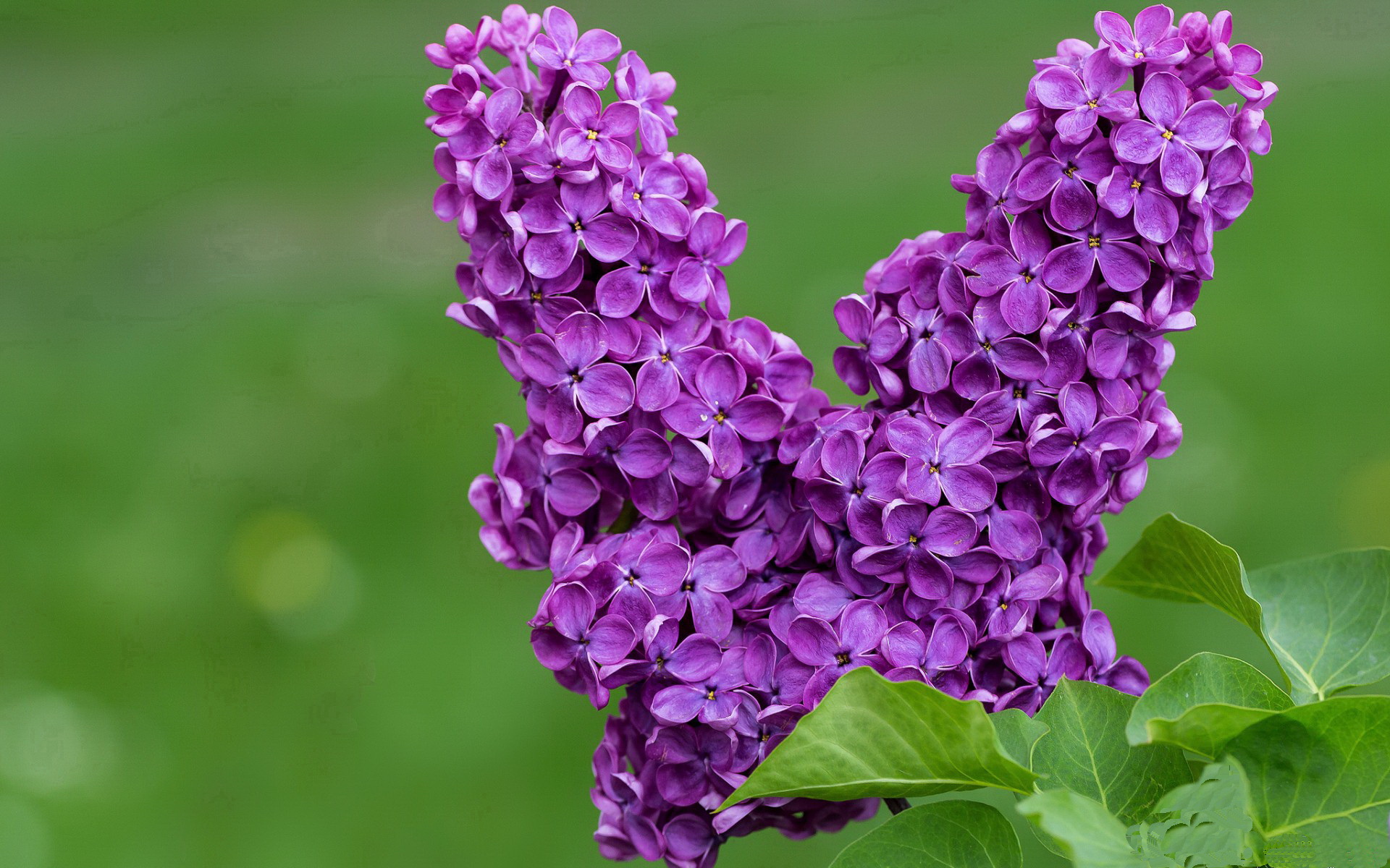 联赛冲刺:锁定冠军或保级的关键对决盘点