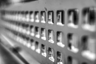 爱游戏-高校运动训练科学管理模式创新实践，运动训练科研管理工作要求