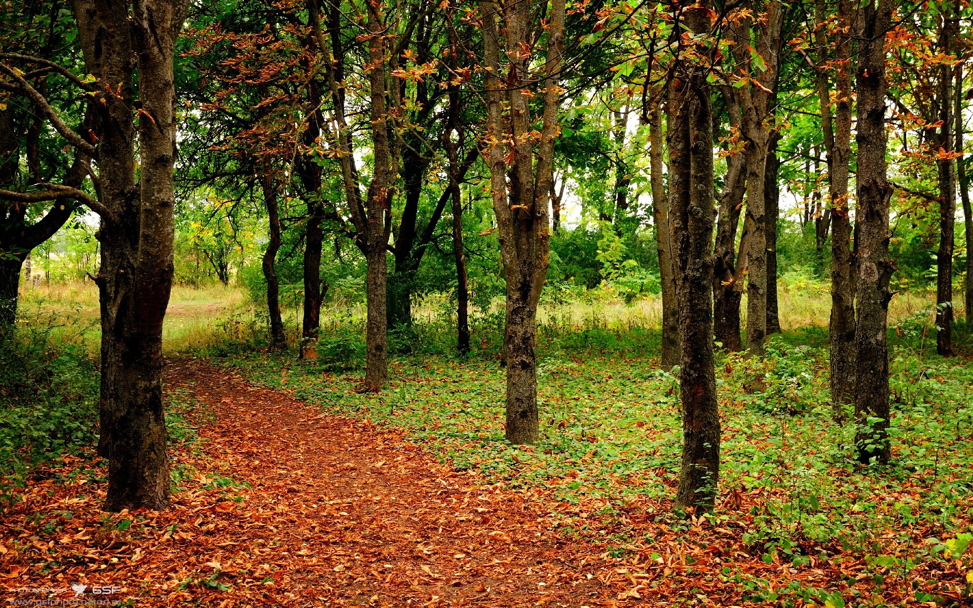 CBA球队推动数据与视频分析融合应用,cba数据中心