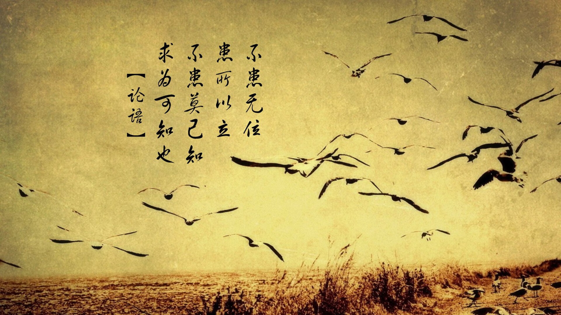 “亲子互动!牛仔3K亲子跑在香港开跑”