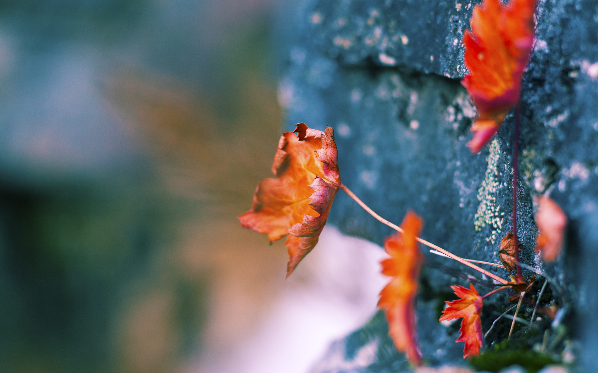 体育文化馆推出沉浸式互动展览，体育馆文化墙设计图